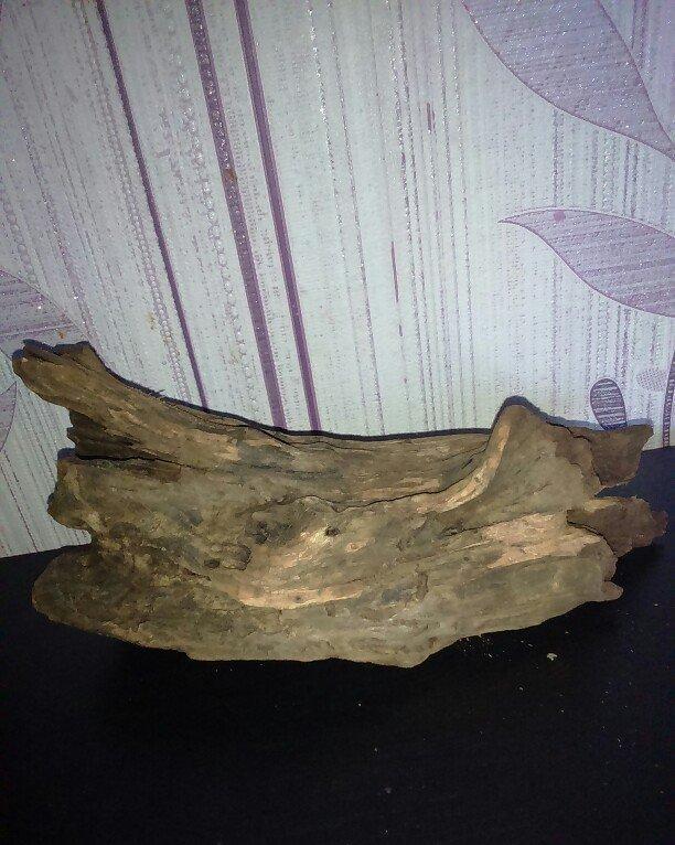 Akvariumcun Koryaga satiram uzunlugu 27sm eni 10sm. Продам Корягу для