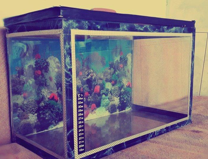Akvarium 40 litrelik Satilir.Eni 25 sm
 Uzunlugu 50 sm
 Hundurluyu 30