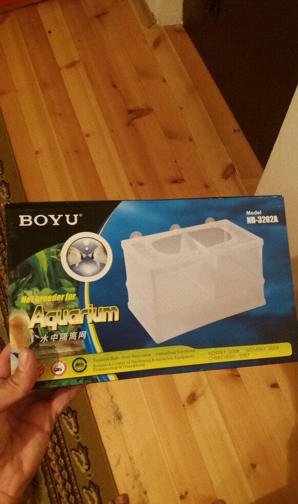 akvarium ucun balığların doğum qabı iki və daha çox balığın bir anda d