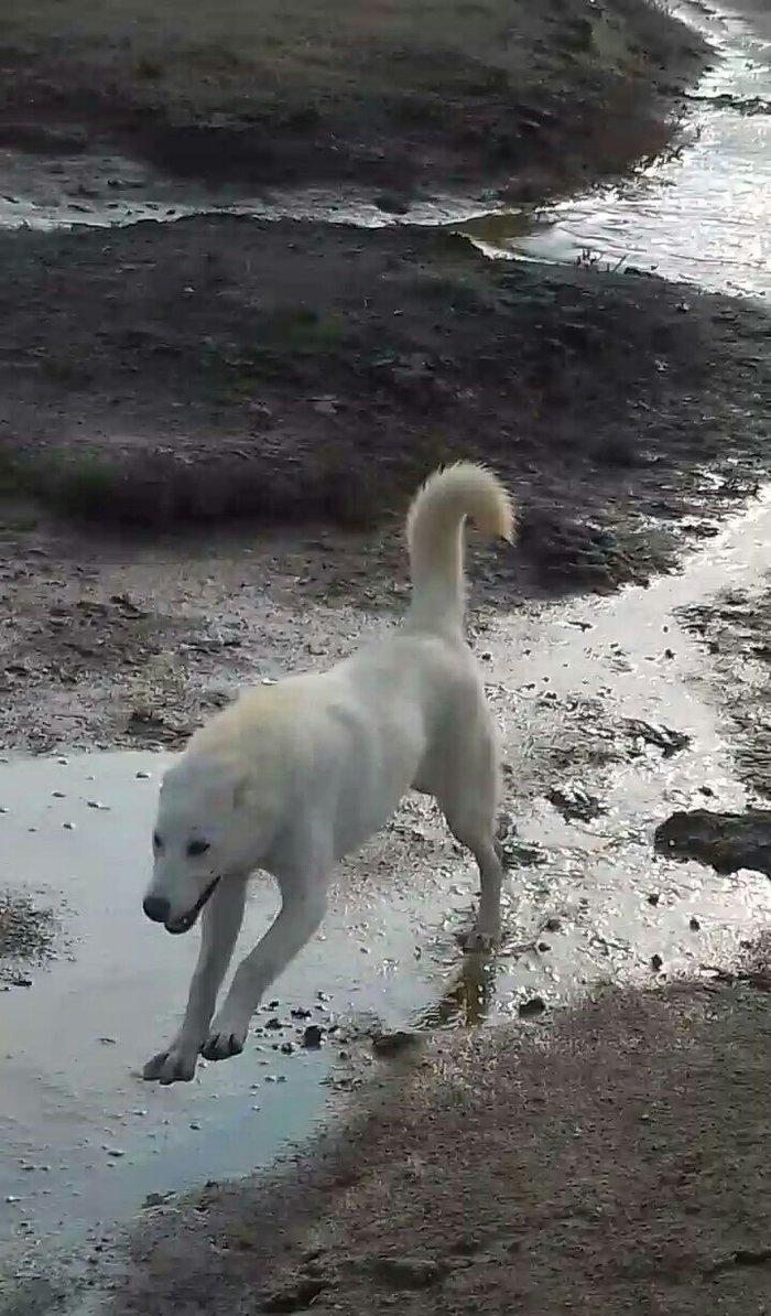 Salam Temiz Natura Aģ Alabay Balası Satiram Wekil realdi maraqlanan we