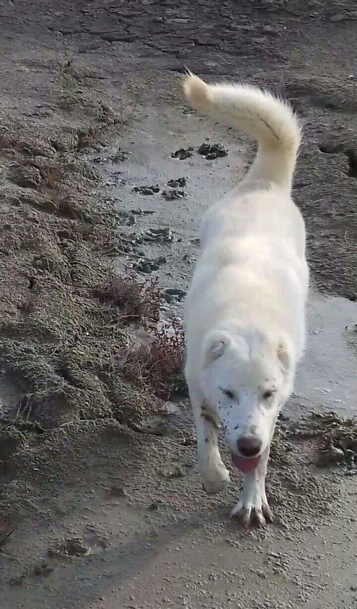 Salam Temiz Natura Aģ Alabay Balası Satiram Wekil realdi maraqlanan we