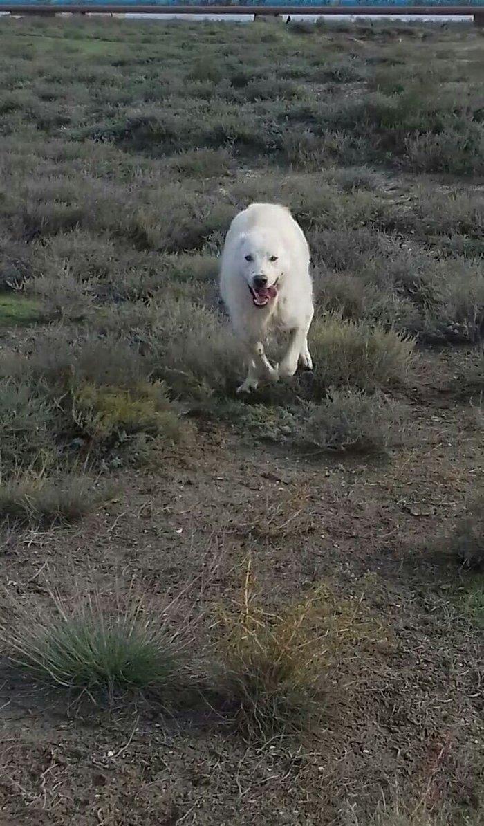 Salam Temiz Natura Aģ Alabay Balası Satiram Wekil realdi maraqlanan we