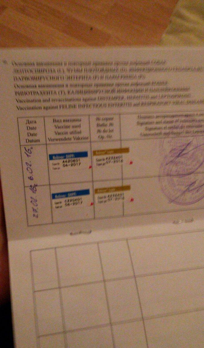 Tecili! Pameranski Spis butun senedleri ile esyalari ile birge 800 man