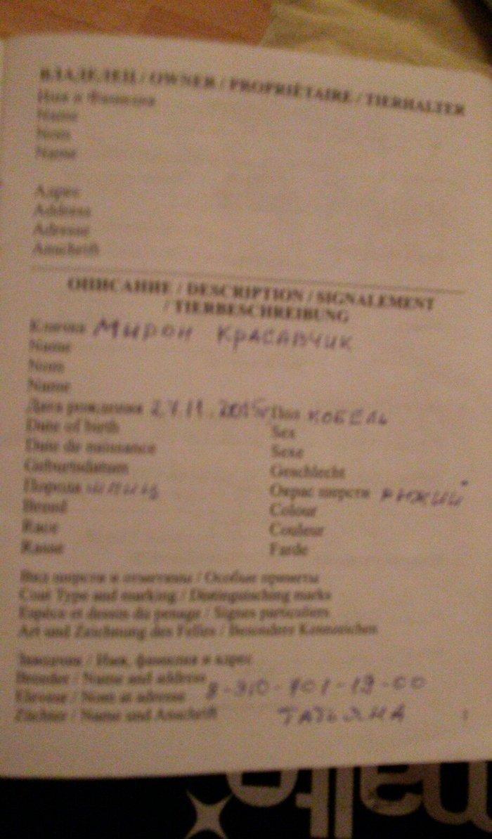 Tecili! Pameranski Spis butun senedleri ile esyalari ile birge 800 man