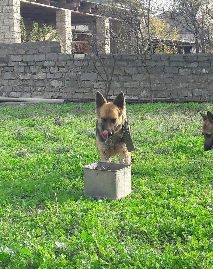 salam tecili satilir xarice gedirem ona gore bala vaxtindan ozumde olu