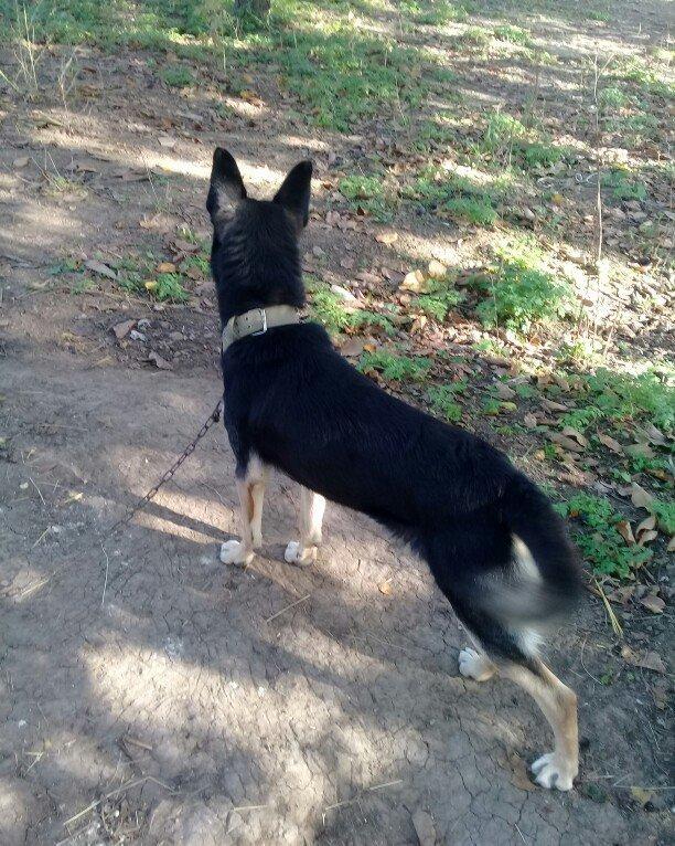 satilir bezi dilleride basa dusur ozum isde oldugum ucun imkan olmur b