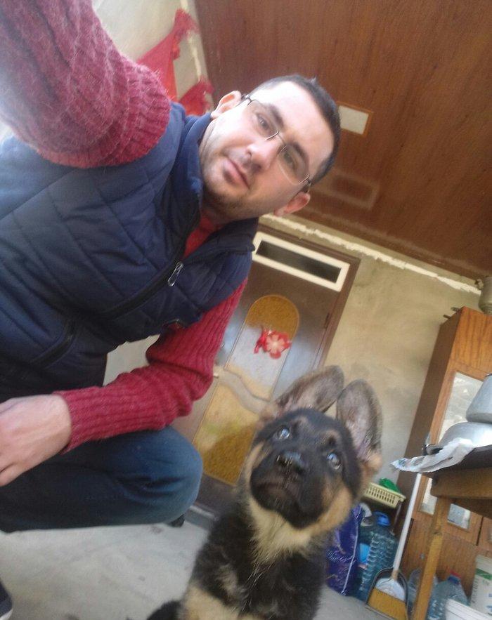 Ovcarka satilir  Sentiyabrin 6 si anadan olub Diwidi (QIZ) TEMIZ QANDI