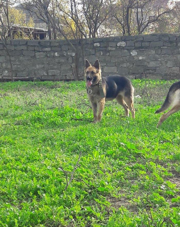 salam tecili satilir xarice gedirem ona gore bala vaxtindan ozumde