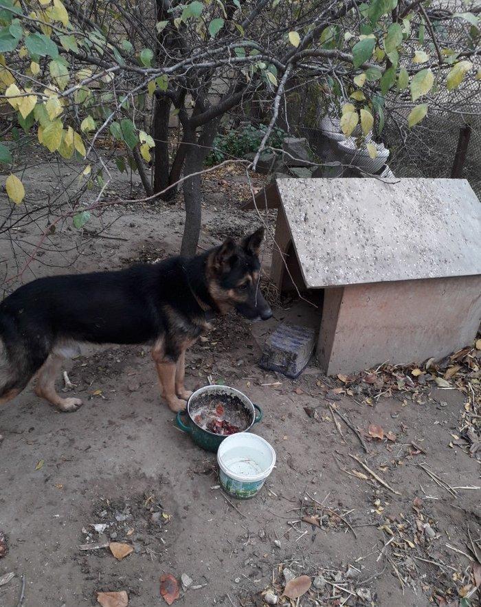 Temiz nemeski afcalkadir erkekdir bu ayin iynesi vurulmalidir 1yas 6 a