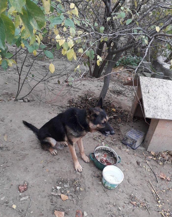 Temiz nemeski afcalkadir erkekdir bu ayin iynesi vurulmalidir 1yas 6 a