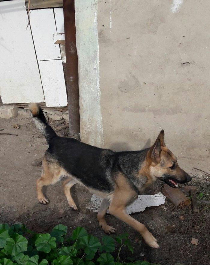 Salam tecili satilir xarice gedirem ona gore bala vaxtindan ozumde olu