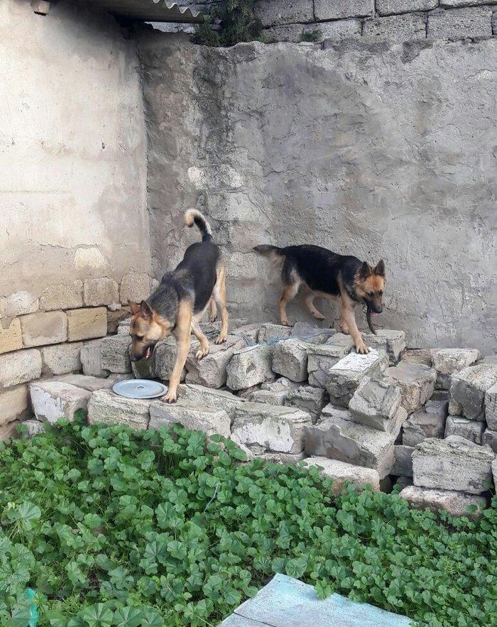 Salam tecili satilir xarice gedirem ona gore bala vaxtindan ozumde olu