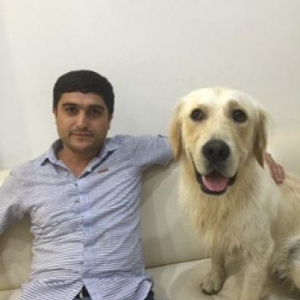 Eziz dostlar labrador golden retriver satiram 2 yasi var qurd dermanin