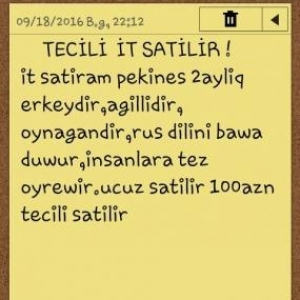 It satilir