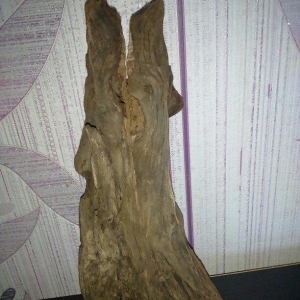 Akvariumcun Koryaga satiram uzunlugu 27sm eni 10sm. Продам Корягу для