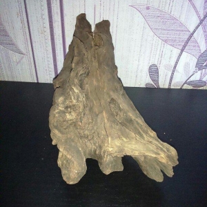 Akvariumcun Koryaga satiram uzunlugu 27sm eni 10sm. Продам Корягу для