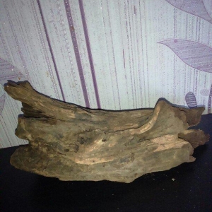 Akvariumcun Koryaga satiram uzunlugu 27sm eni 10sm. Продам Корягу для