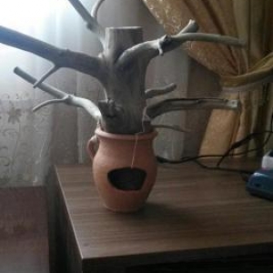 Baliqlar ve  antistruslar ucun xeyirli kareqa agaci ve saxsi guldanla