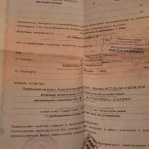 Tecili! Pameranski Spis butun senedleri ile esyalari ile birge 800 man