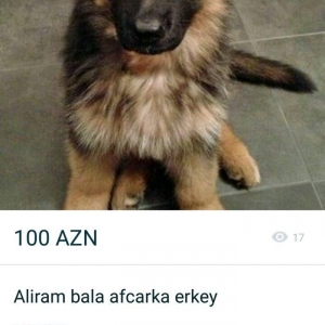 aliram 60 aze reyal aliciyam