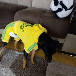 L  razmer yenidirler cekmek ucun geydirdim.eynine olmur hec biri.25 ma