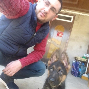 Ovcarka satilir  Sentiyabrin 6 si anadan olub Diwidi (QIZ) TEMIZ QANDI