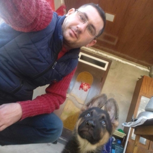 Ovcarka satilir  Sentiyabrin 6 si anadan olub Diwidi (QIZ) TEMIZ QANDI