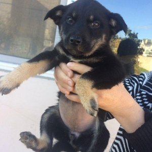 Даем бесплатно в хорошие ру