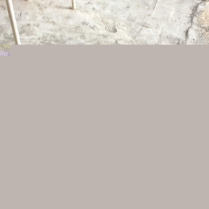 Disi boxer dog yeddi ayliqdi iki aylqnan mendedo iyneleri vurlub qurd