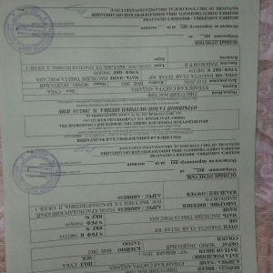 tibet massivi.1-cutdu. erkek ve diwi.1yas 3ayliqdilar. 3yawinda 100 kl