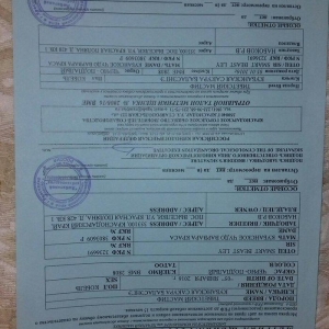 tibet massivi.1-cutdu. erkek ve diwi.1yas 3ayliqdilar. 3yawinda 100 kl