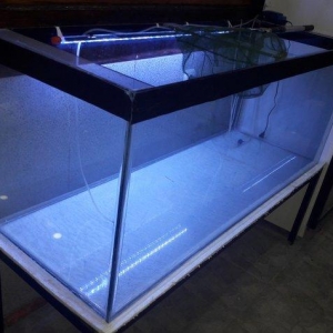 Təcili 500 litirlik akvarium 50*60*150dm 8mm qal