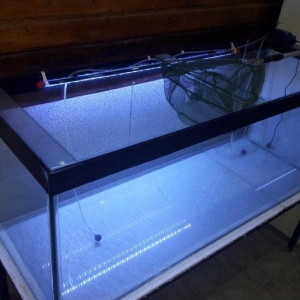 Təcili 500 litirlik akvarium 50*60*150dm 8mm qalın şüşə tam balıq saxl