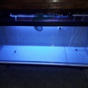 Təcili 500 litirlik akvarium 50*60*150dm 8mm qalın şüşə tam balıq saxl