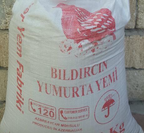 Yumurtlayan Bildirçinlər