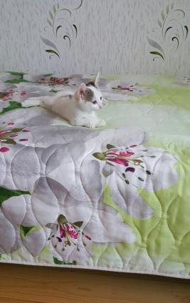 2 ayliq bala piwikdi