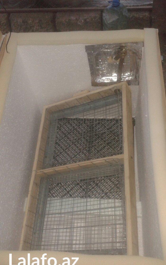 Inqibator satılır və sifarislə yıgılır 120 yumurtalıq  145 azn mexanik