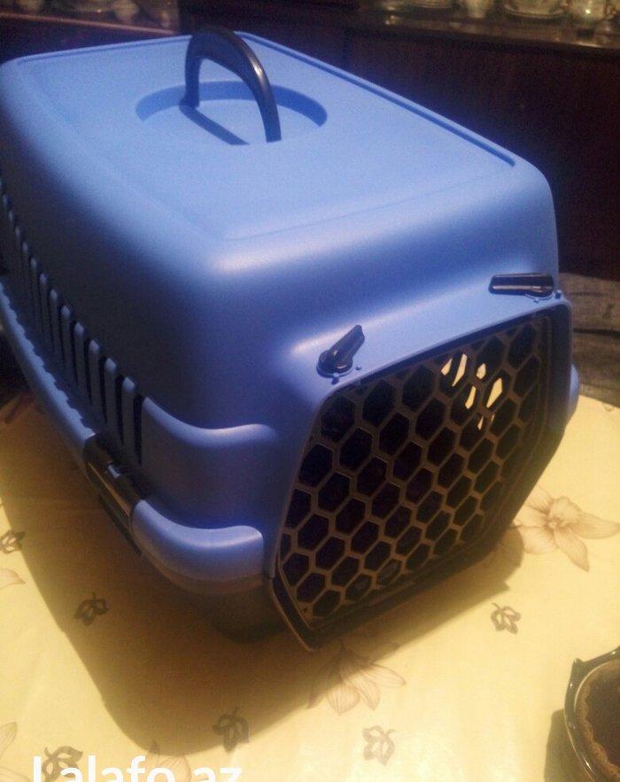 Qəfəs yenidir, whatsapp aktivdir və ya nömrəyə zəng edib maraqlana bil