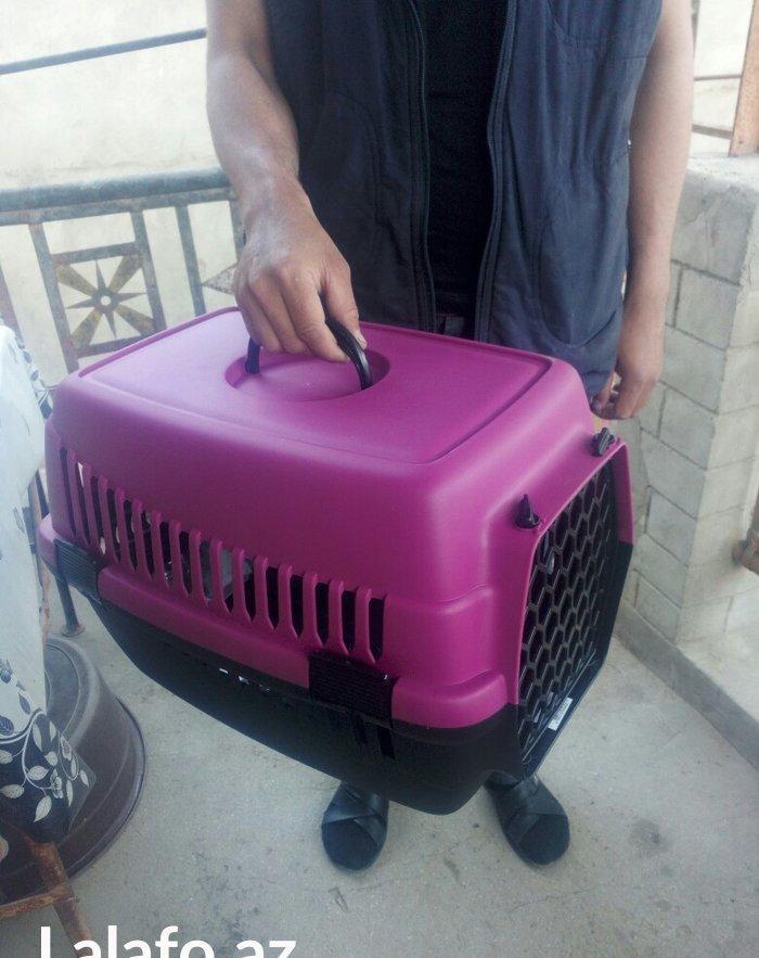 Qəfəs yenidir, whatsapp aktivdir və ya nömrəyə zəng edib maraqlana bil