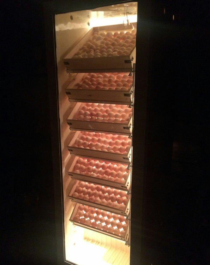 Her ölçüde İnkubator sifarisi qebul olunur. İnkubatorlar vitrin xalade