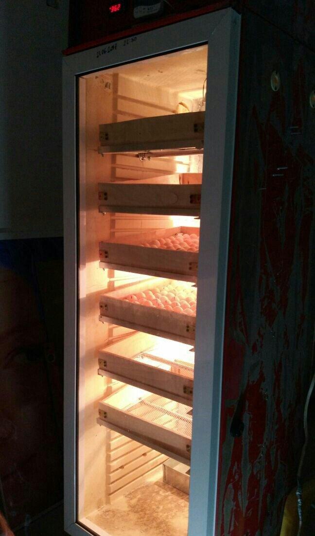 Her ölçüde İnkubator sifarisi qebul olunur. İnkubatorlar vitrin xalade