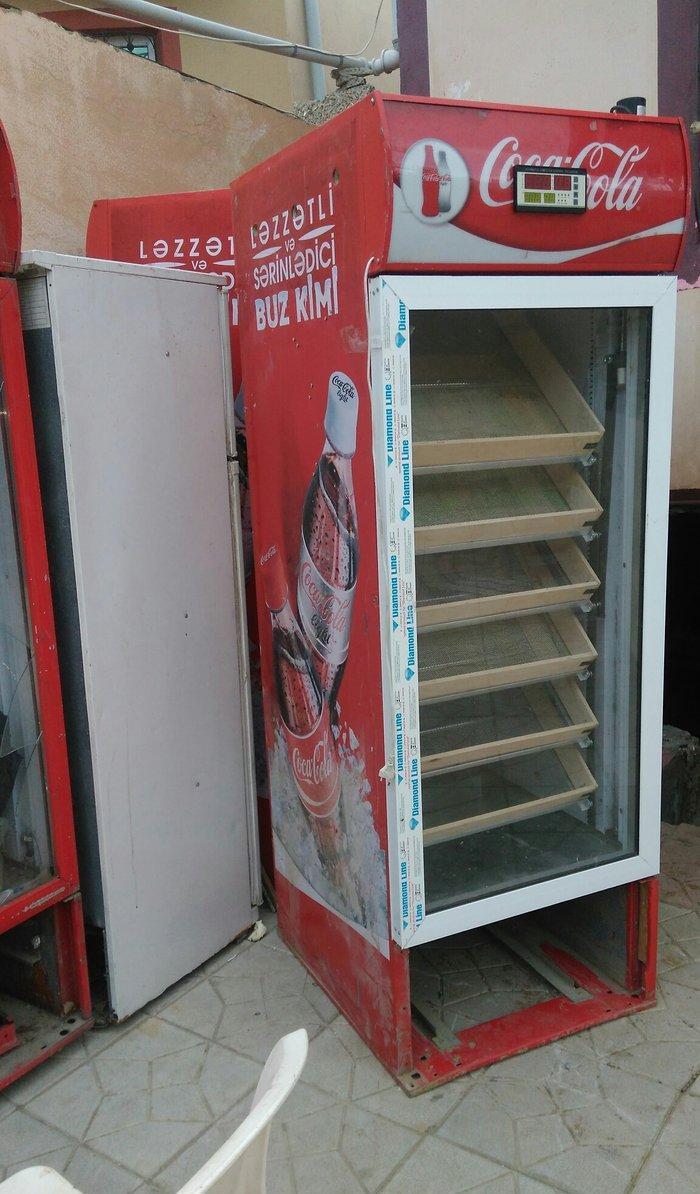 1000 yunurta tutumlu tam avtomatik İnkubator. Het ölçüde İnkubator sif