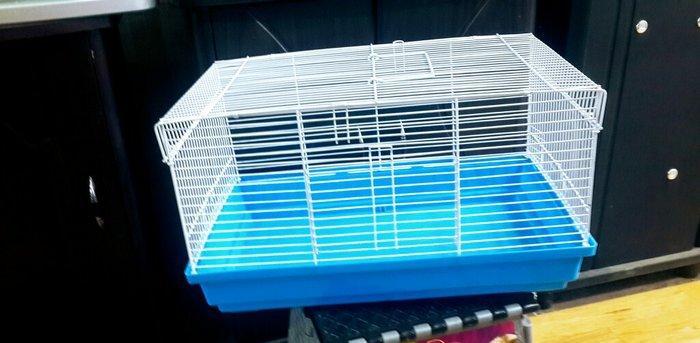 Teze qefes  satilir. Dovwan ve marakoy svinkalarcun. Goy yawil ve ag r