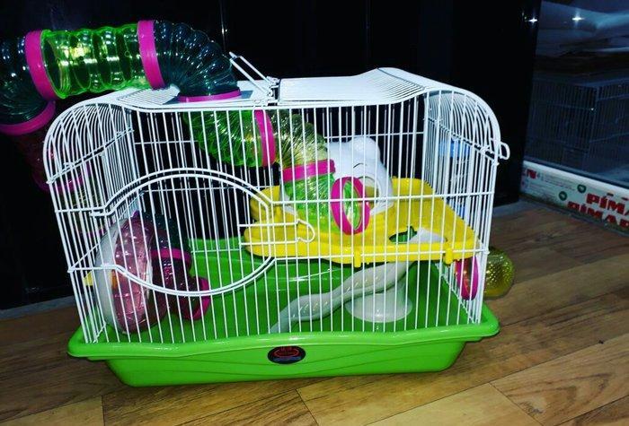 Diger qefeslere baxmaq ucun whatsap ve ya instaqram :zoo_online shoppi