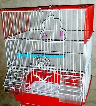 Iri qefes satilir. Su qabi , yem qabi,  papuqay  durmasi ucun cubuq ve