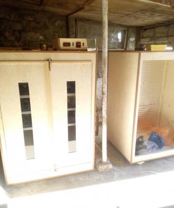 isdenilen yumurta sayına görə inkubatorlar yiqilir tam aftamat və zəma