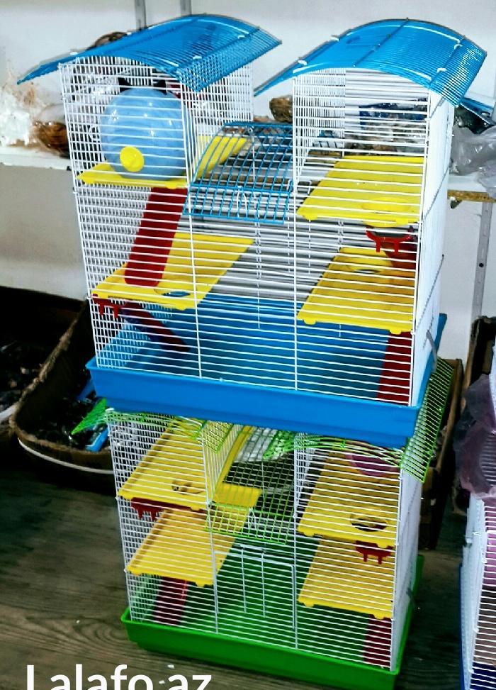 Teze iki mertebeli xamyak qefesi  satilir. Wekilde ne gorursuz her bir