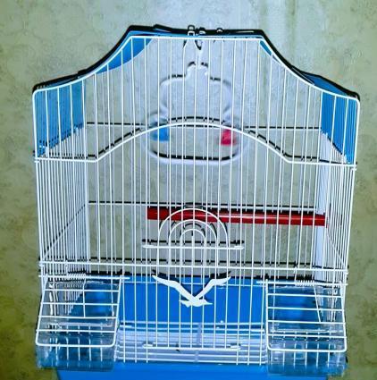 Teze qefes satilir. Su qabi ,yem qabi, papuqay durmasi ucun cubuq ve