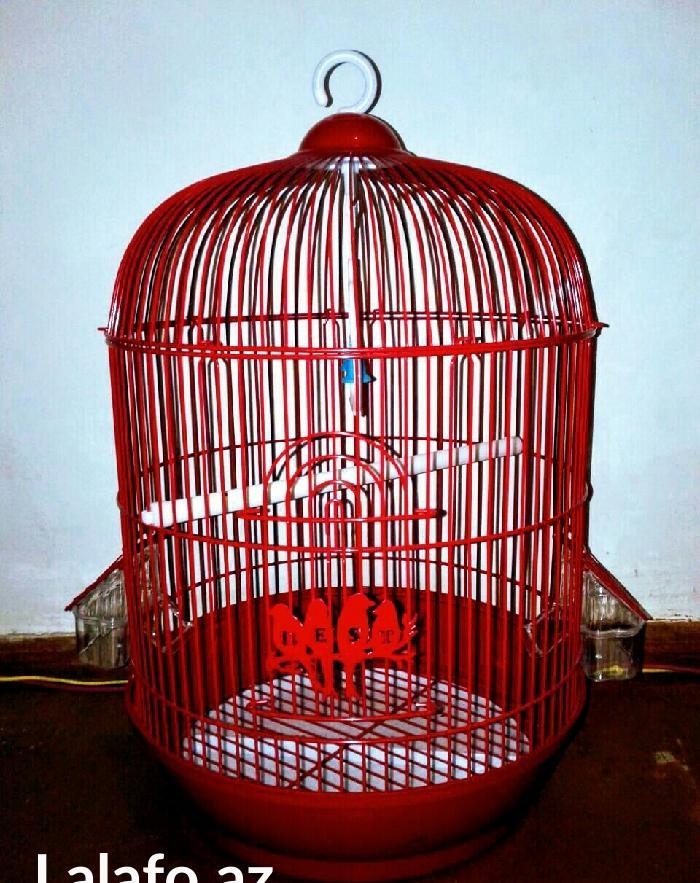 Teze iri qefes satilir coxxxx urek acan rengi var. su qabisi ,yem qab