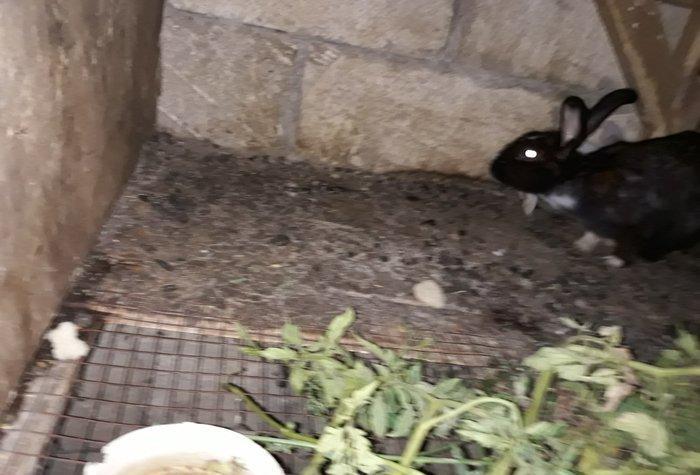 Dosan ve dosan balasi satiram. Xayis edirem bu nomreye zeng edesiz